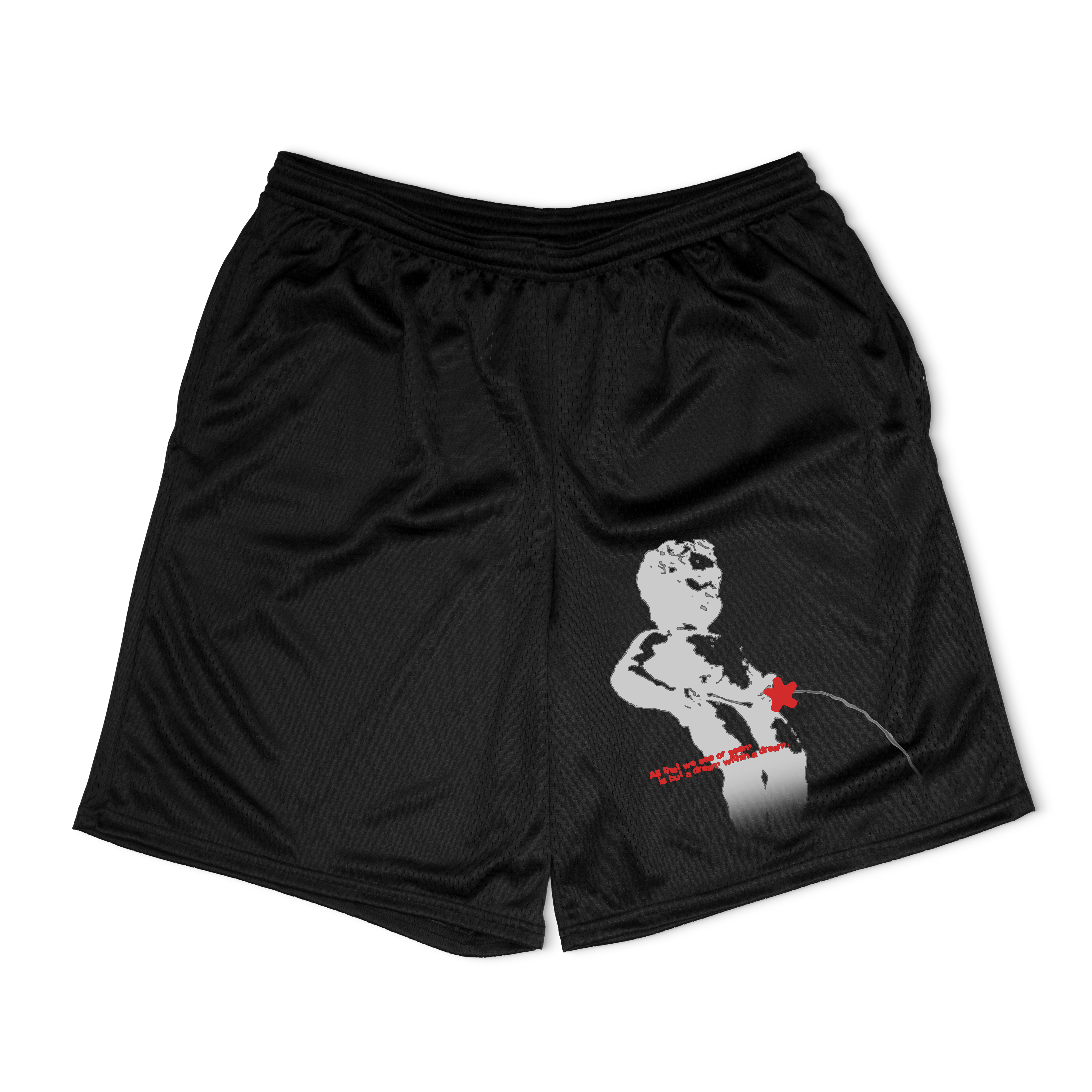 Dreams Mesh Shorts