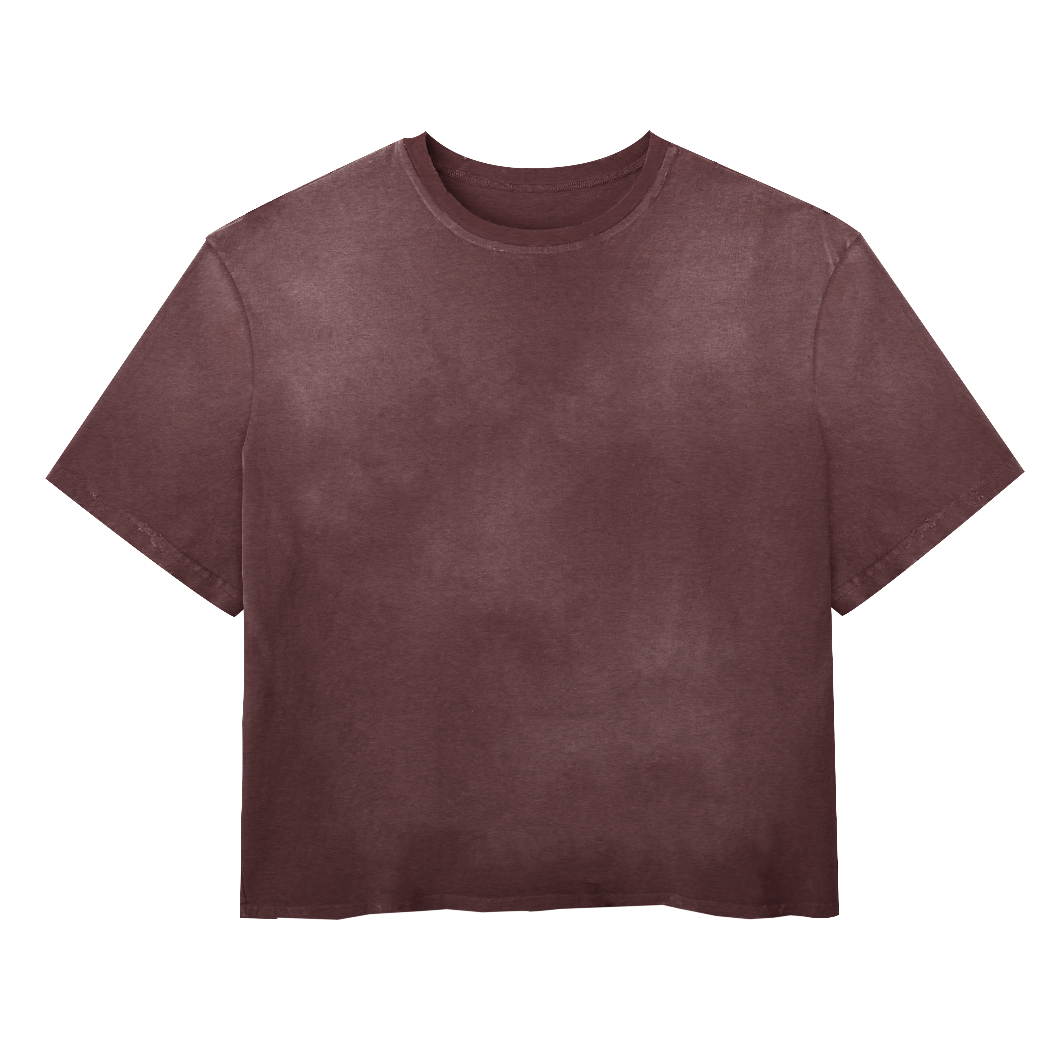 Blank Tee