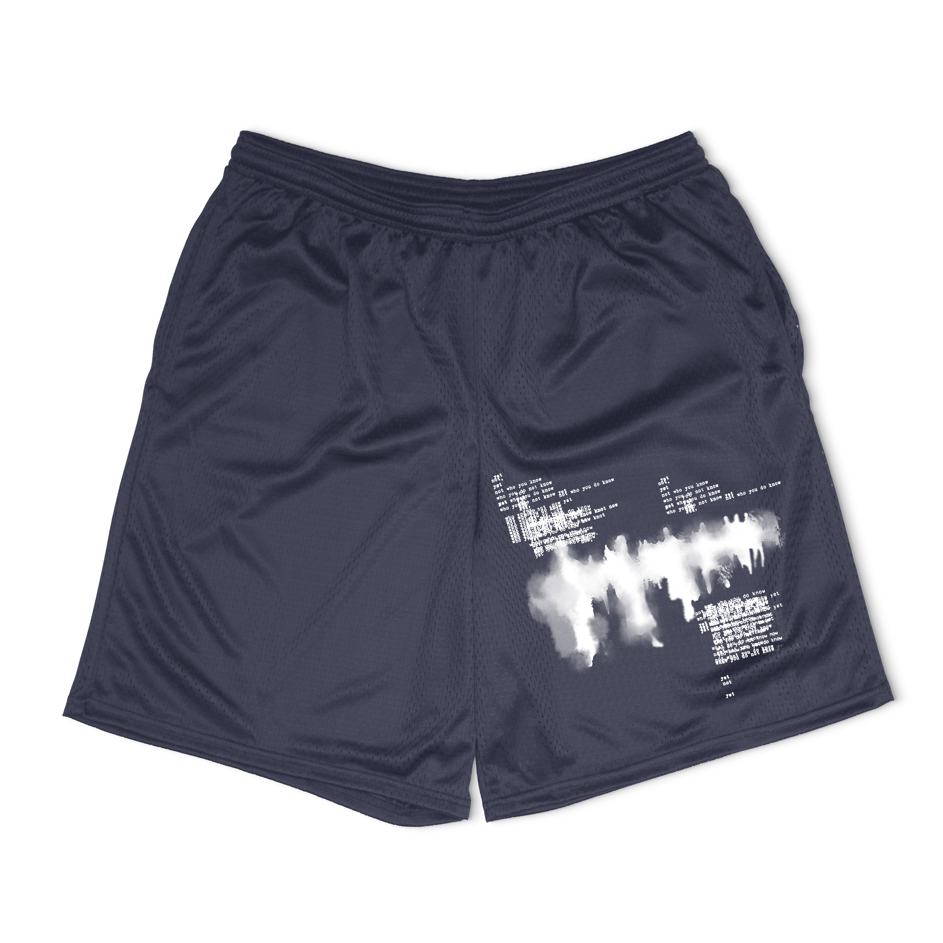 Not You Know Mesh Shorts