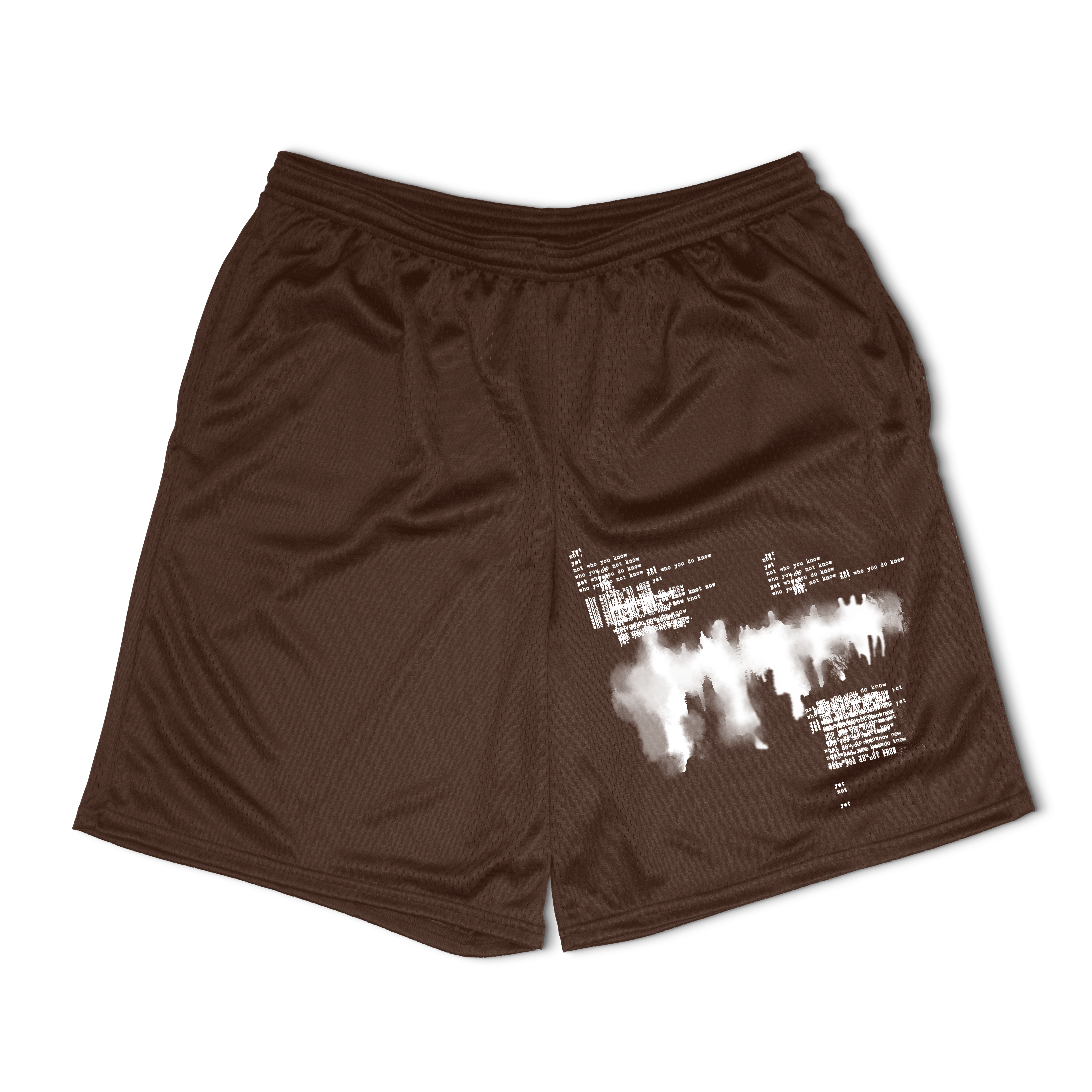 Not You Know Mesh Shorts