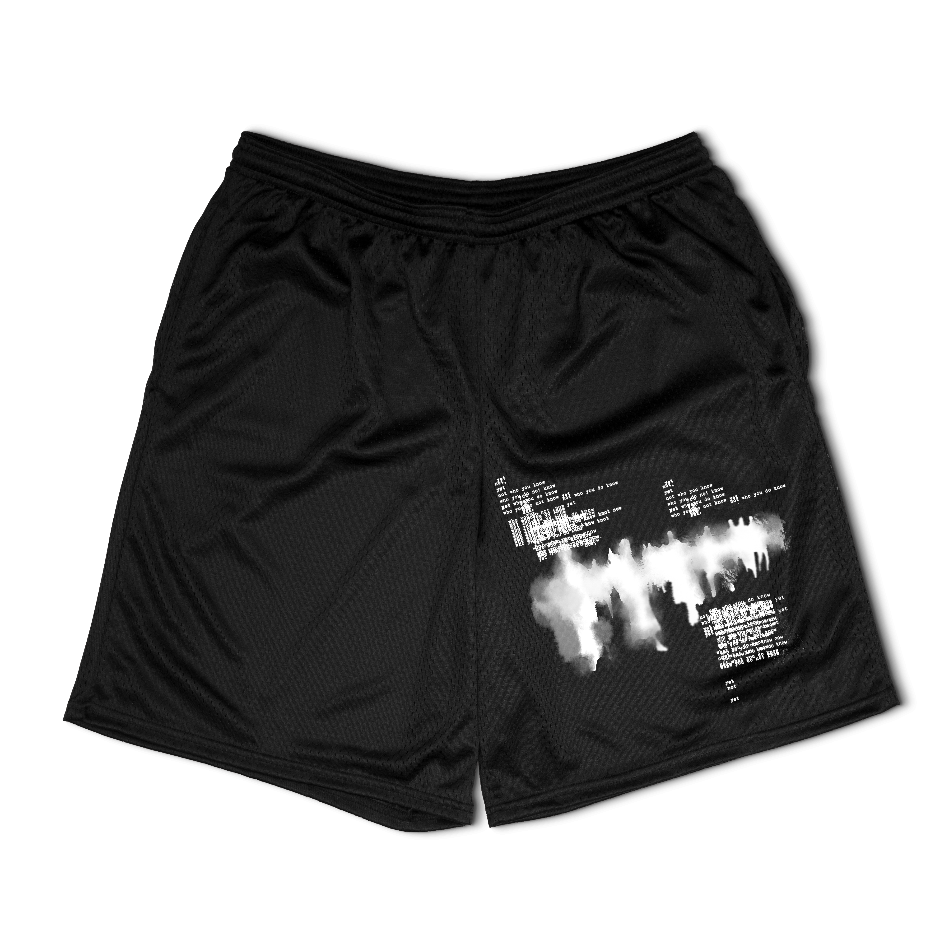 Not You Know Mesh Shorts