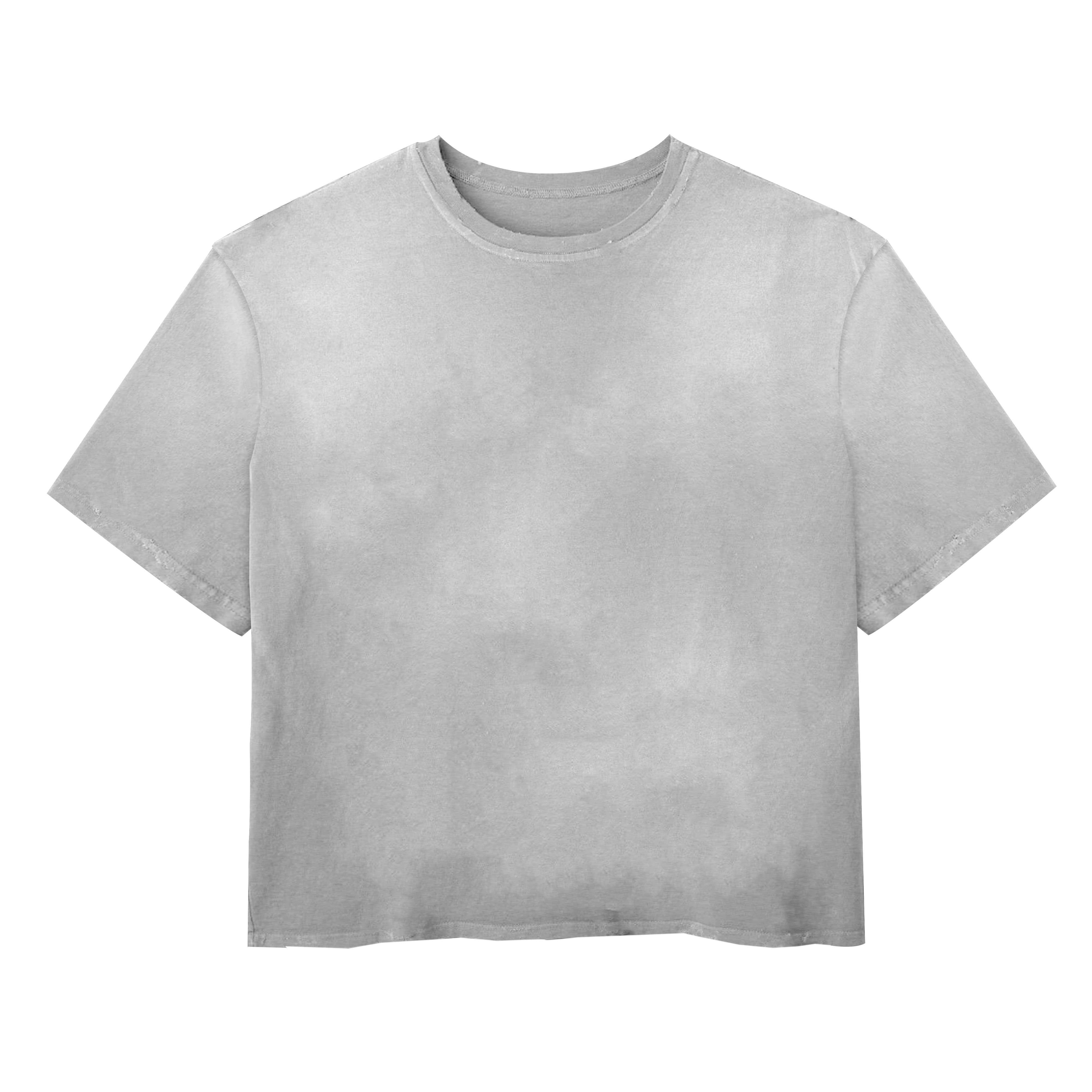 Blank Tee